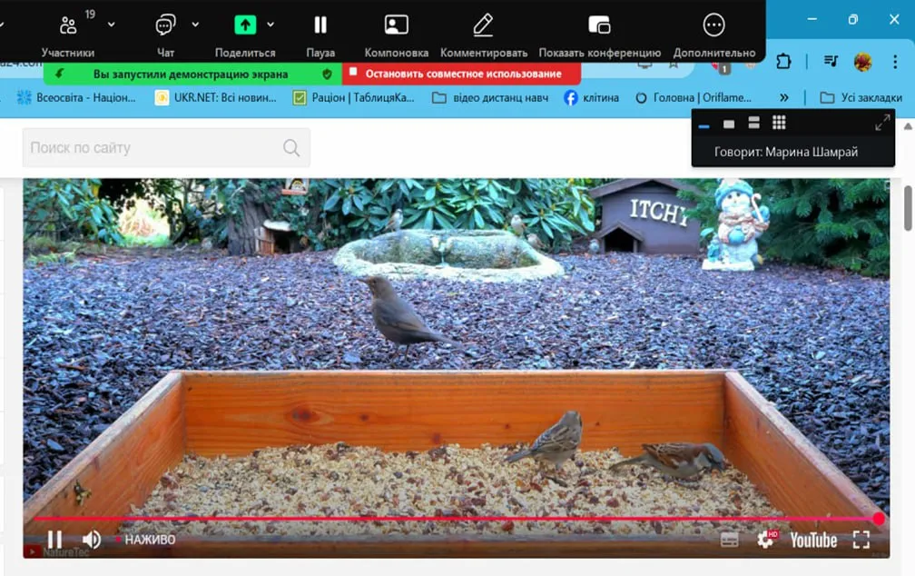 Птахи взимку: спостерігаємо, допомагаємо, оберігаємо